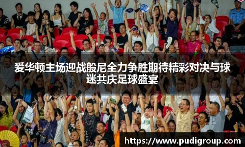 爱华顿主场迎战般尼全力争胜期待精彩对决与球迷共庆足球盛宴