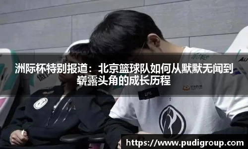 365WM完美体育官网