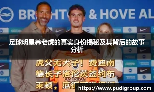 365WM完美体育官网