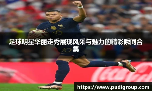 365WM完美体育官网